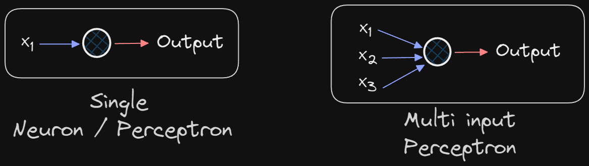 neuron & perceptron.png