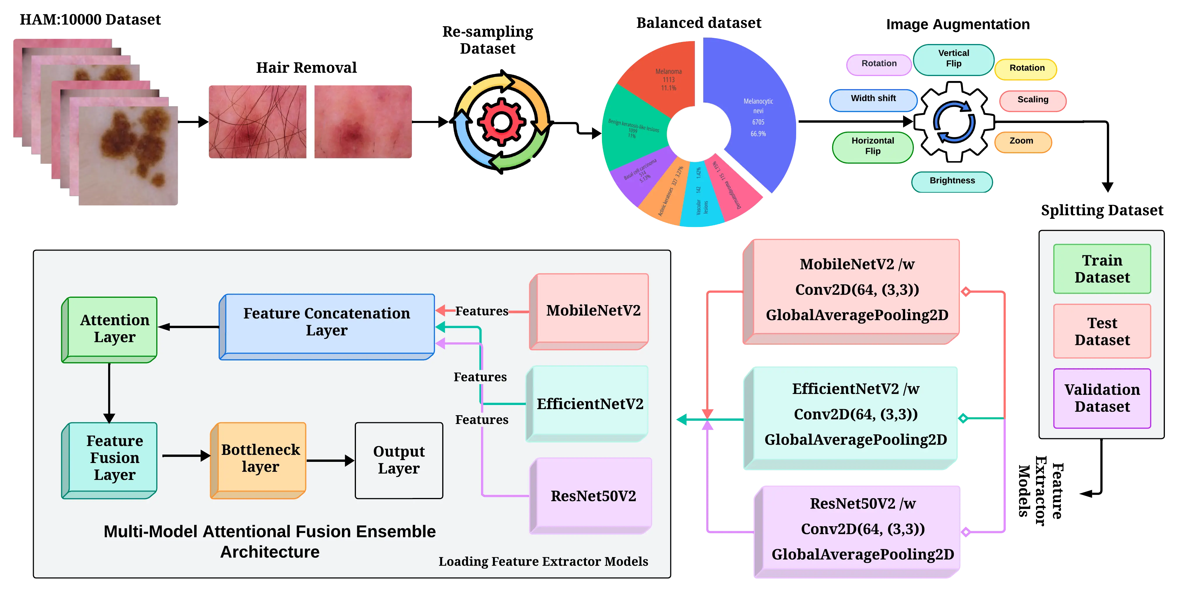 Multi-Model Attentional Fusion Ensemble for Accurate Skin Cancer Classification figure